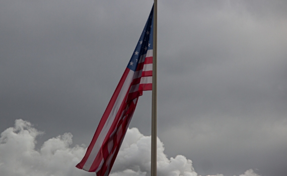 После победы в Нью-Йорке демократы укрепят свое положение в Вирджинии, Нью-Джерси и Калифорнии