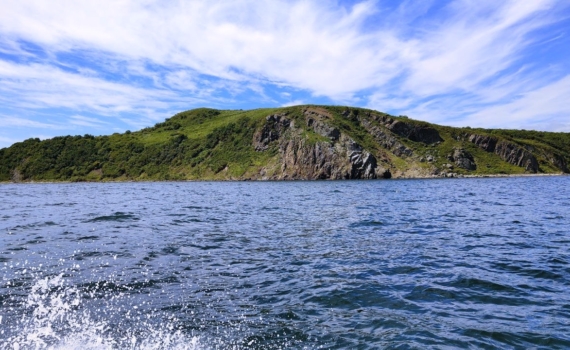 Политолог Ярошенко поддержал инициативу архангельского губернатора по развитию СМП