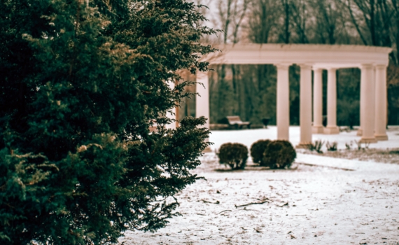 Платон и Роман Зимоуказатели: что можно и нельзя 1 декабря для уютной зимы и достатка в доме