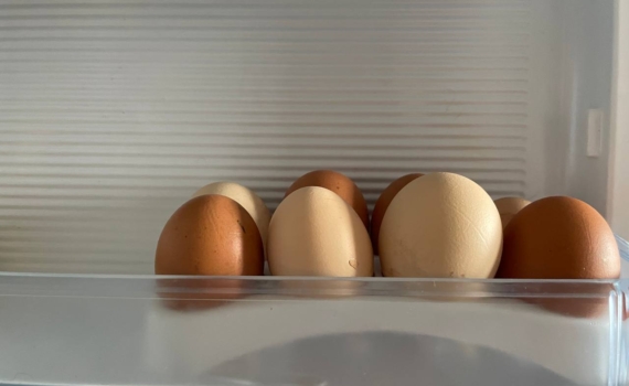 Острый или тупой: каким концом класть яйца в лоток, чтобы они не портились неделями — всё о хранении Острый или тупой: каким концом класть яйца в лоток, чтобы они не портились неделями — всё о хранении
