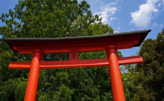 Что делают китаянки, чтобы волосы росли до пояса? Ответ вас удивит: не волшебство, а древний эликсир Что делают китаянки, чтобы волосы росли до пояса? Ответ вас удивит: не волшебство, а древний эликсир